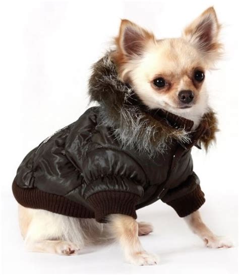 Vêtements Chien de Luxe 